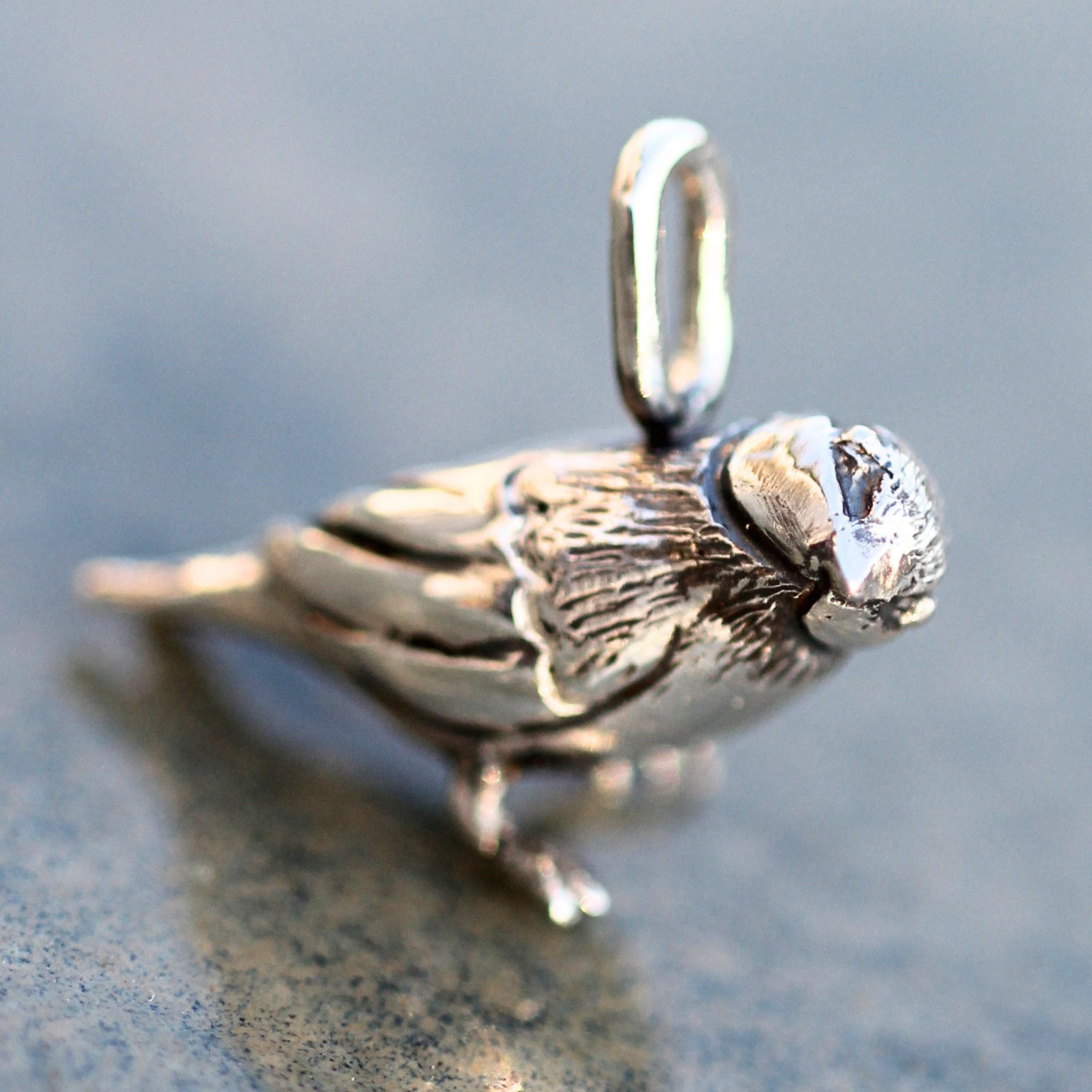 Alice Schmidt Møller